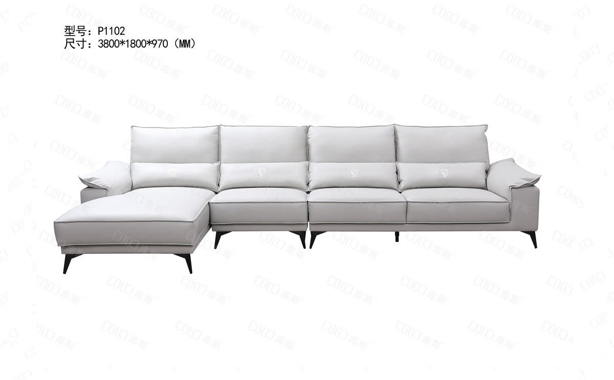 P1102 (1)